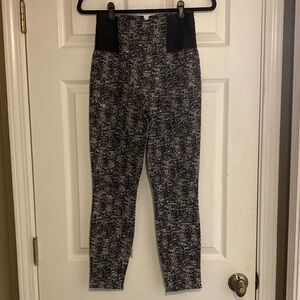 Bebe Black and White Dress Tights